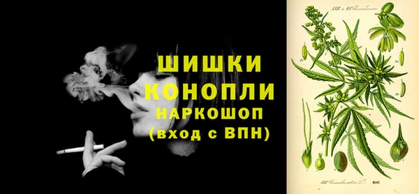 дурь Вяземский