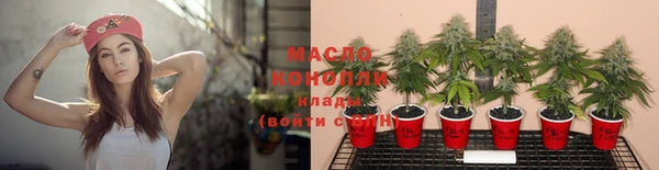 сатива Горнозаводск